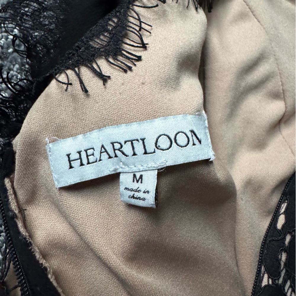 Heartloom Black and Nude Lace Dress Sz M Party Formal Minimalist Chic Whimsygoth - Picture 2 of 10